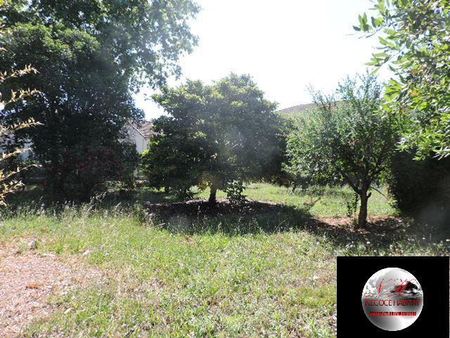 photo principale